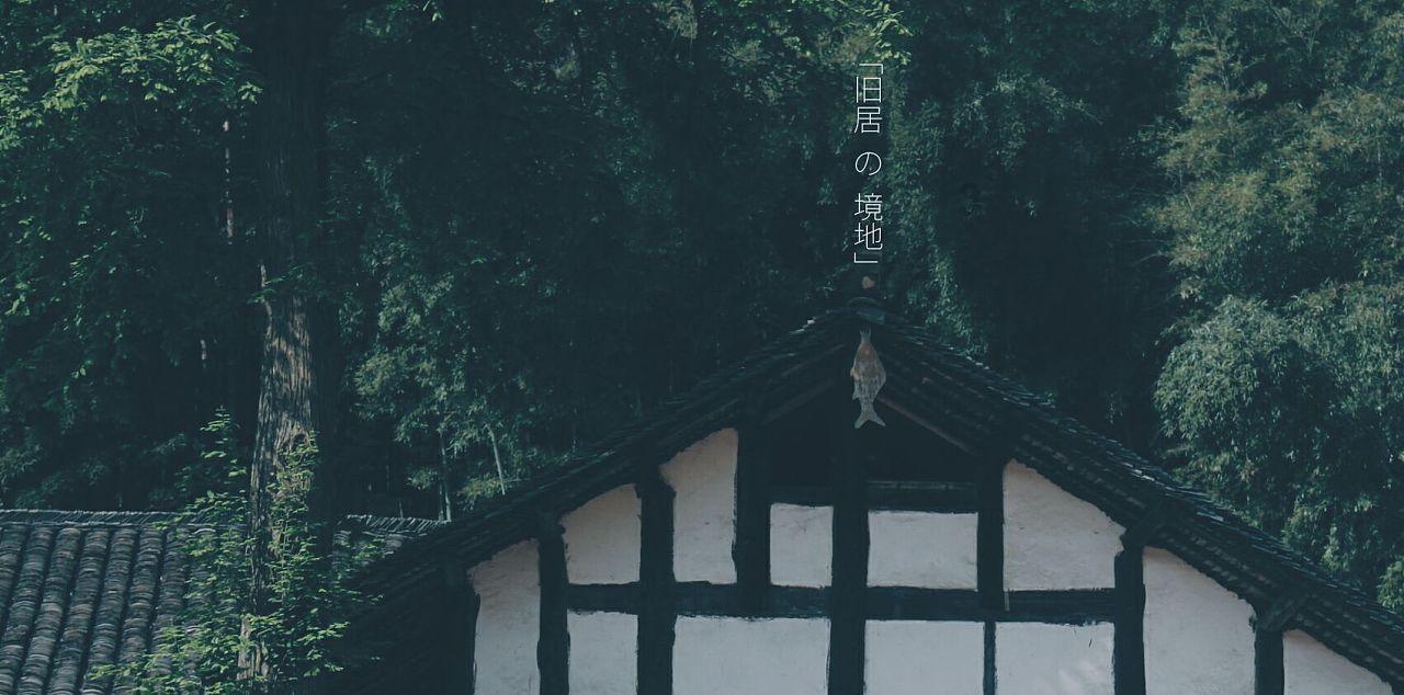 “吉星高照 金龙迎春”2024天津市民年货节2月2日开市！你能想到的年货全都“包”了